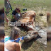 Βασανιστικός θάνατος για άλογο, χωρίς νερό, κάτω απ΄ τον ήλιο....
