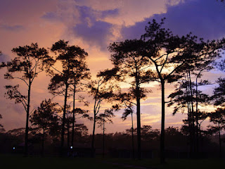 Phu Kradueng National Park Loei