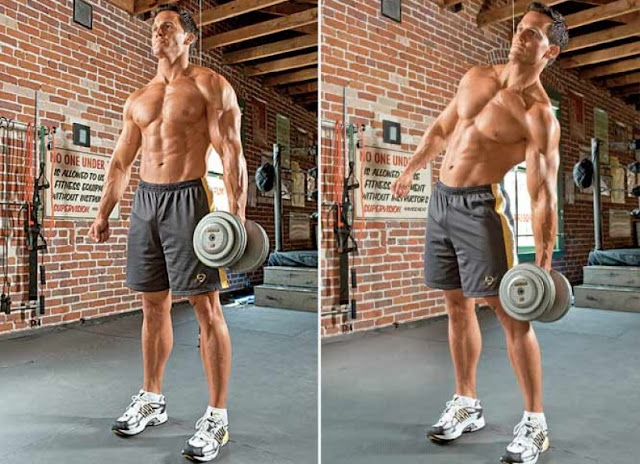 Dumbbell Oblique Side Bends