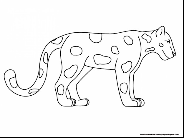 Fantastic Printable Animal Coloring Pages For Kids With Rainforest Coloring  Pages And Rainforest Coloring Pages To
