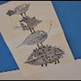 Visualizza album