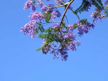 DSCN3310