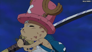 ワンピース アニメ ウォーターセブン編 252話 チョッパー Tony Tony Chopper | ONE PIECE Episode 252 Water 7