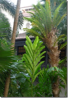 P1080347