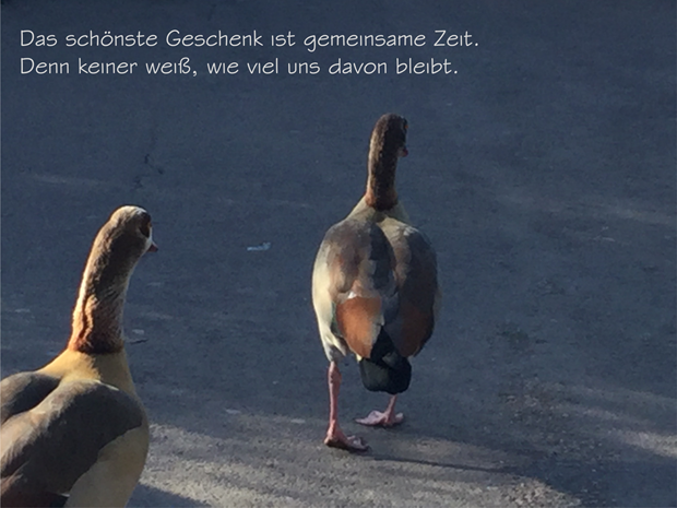 3DieschoensteZeitistdiegemeinsame