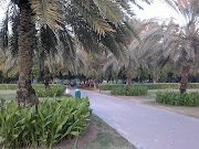 Safa Park Dubai Pics