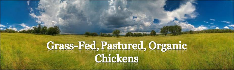 Grass-fed, pastured, organic chickens