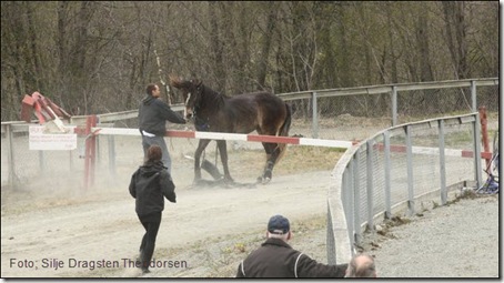 2011-mai7-orkdal_11