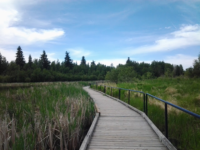 elk island boardwalk