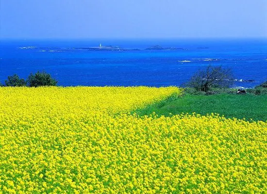 Pulau Jeju, Korea Selatan