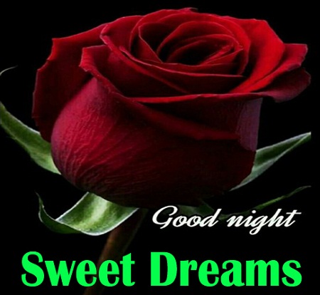 Good Night Sweet Dreams Love Flower Image