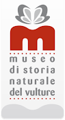 http://www.museodelvulture.it/MonticchioPortale/