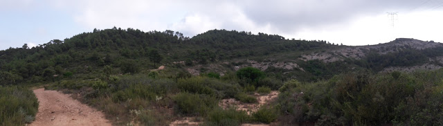 GR-175 Ruta del Cister, Santes Creus a Rocafort de Queralt, camí cap al Coll de Maldà