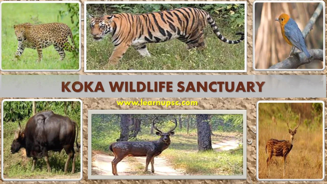 Koka Wildlife Sanctuary