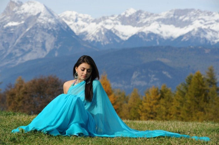 Hansika In Hot Blue Saree PhotosWallpaper glamour images