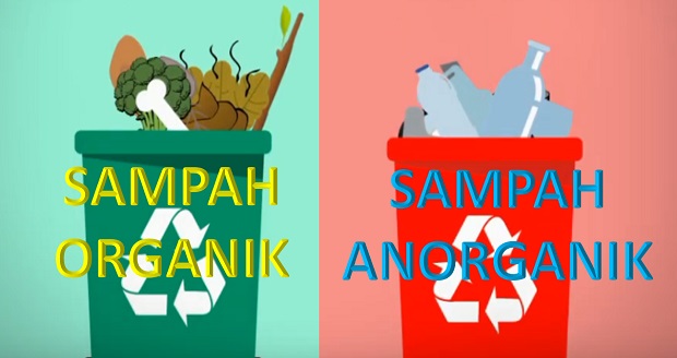 5 Perbedaan Sampah  Organik  dan  Anorganik 