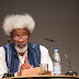Fulani Herdmen-Farmers Crisis Could Lead To Another Civil War, If We Don't Act Fast - Prof Soyinka