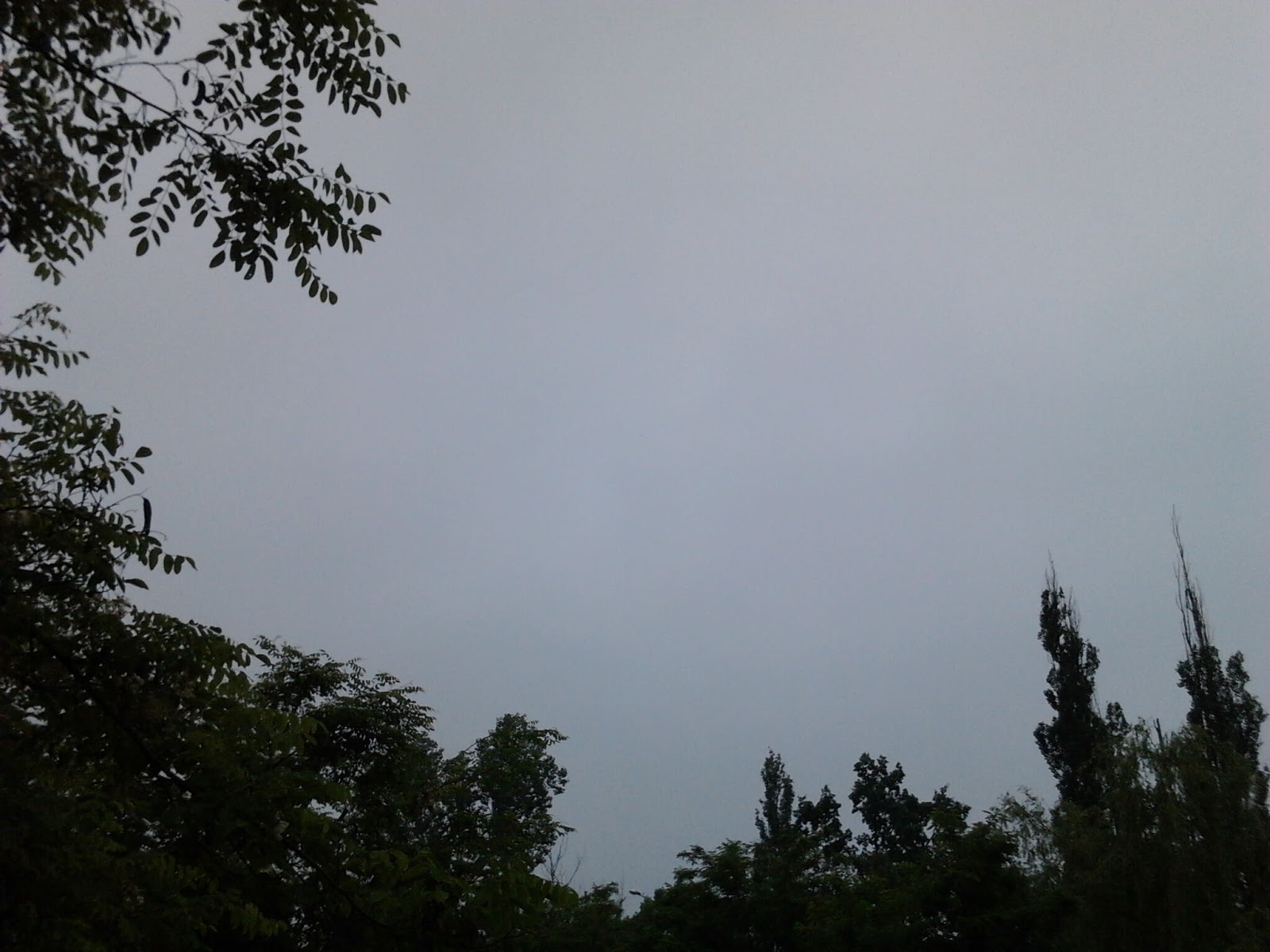 Прогулка по аллее после зарядки, затянутое небо ( фото сзади ).
Феномен, резонанс ( иду без зонта, пустился на минуту ( с лишним )  сильный дождь ).
Погода в Херсоне: пасмурно, ветренно, штиль / image18 / 2020.05.28 / 08:46