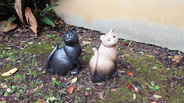 大阪府高槻市 上宮天満宮 猫神社 ねこ神社