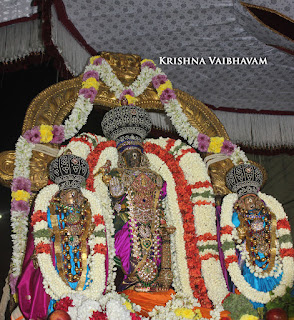 Mylai, Mangalasasanam,Peyazhwar,Parthasarathy Perumal Temple,Purappadu,2016, Video, Divya Prabhandam,Sri Parthasarathy Perumal, Triplicane,Thiruvallikeni,Utsavam,