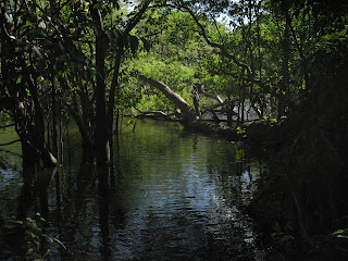 Isla de Ometepe, Nicaragua