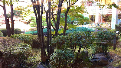 緑亭の窓際からは広い日本庭園が眺められる