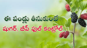 బీపీ, షుగర్ కంట్రోల్ లో ఉండాలంటే ఈ పండ్లు తీసుకుంటే సరి