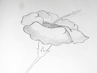 Draw and Sketch Hibiscus (Gudhal) Flower Using Pencil | Richa Art Club