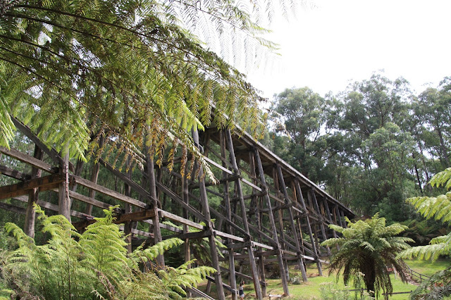 Noojee Trestle Bridge