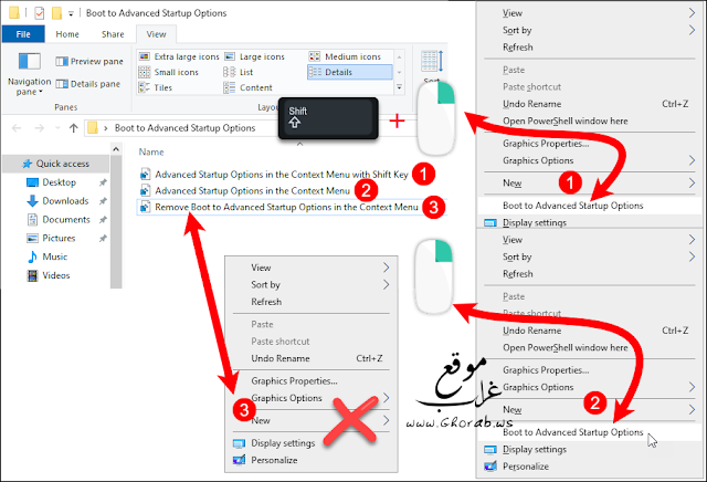 Windows Advanced Options