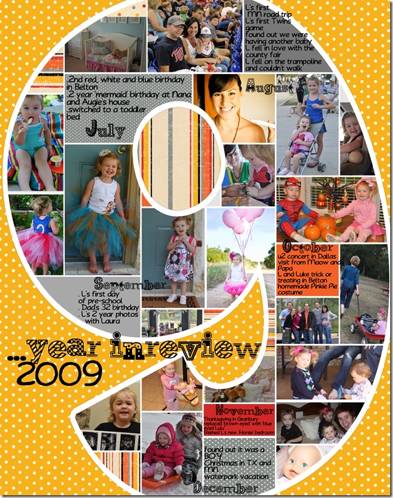 2009review2