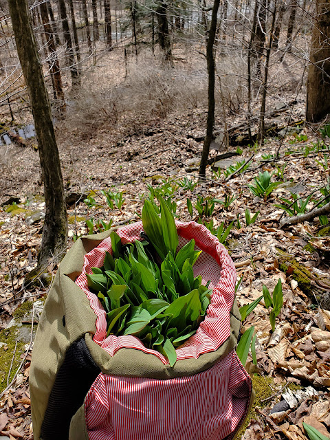 Backpack with ramps