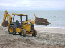 Gruas en el Mar