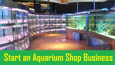 small-business-ideas-shop,business-ideas-aquarium-shop