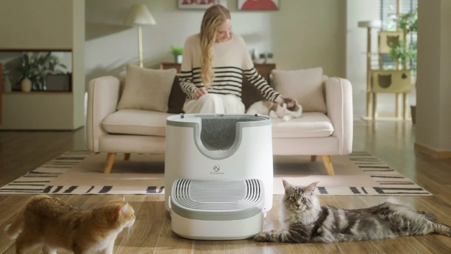 self cleaning litter box,litter box hacks for multiple cats,automatic litter box,smart litter box for cats,litter box for multiple cats,litter box for small apartment,cat litter box,litter box for large cats,best litter box for small apartment,litter box,cat litter,litter box setup for multiple cats,litter box hacks for smell,litter robot,best litter box setup for multiple cats,best automatic litter box,self cleaning litter boxes,self cleaning litter