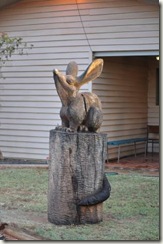 Charleville - Bilby