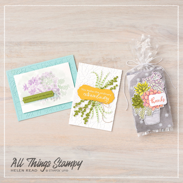 Simply Succulents card ideas Stampin Up