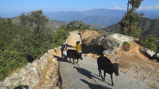 Village Life Khirsu