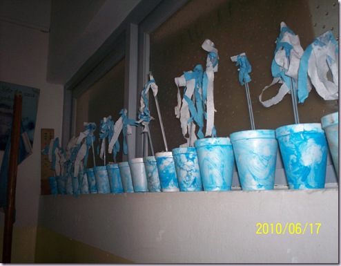 bandera 010