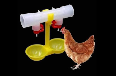 water for poultry