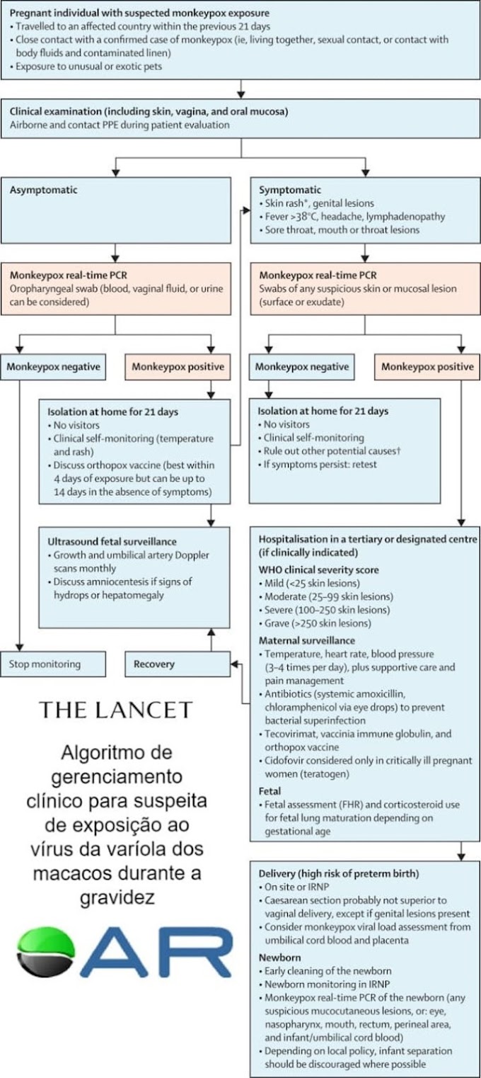 Diretrizes para gestantes com exposição ao vírus da varíola dos macacos (monkeypox) - The Lancet