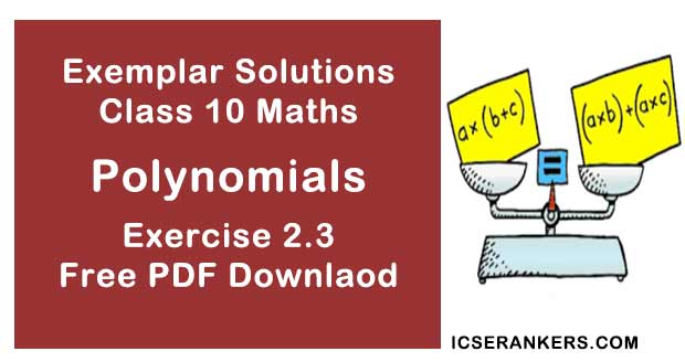 Chapter 2 Polynomials NCERT Exemplar Solutions Exercise 2.3 Class 10 Maths