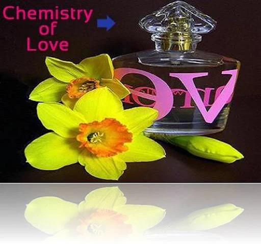 chemistry-of-love_s