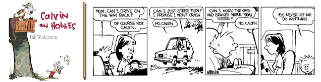 Calvin & Hobbes Sunday Funnies #9 2023-July-19