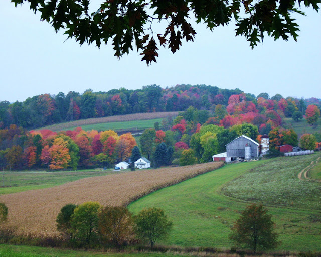 Fairy Farm