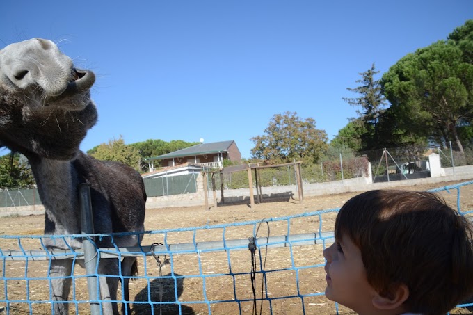 Visitamos Burrolandia