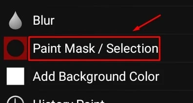 Paint Mask / Sel