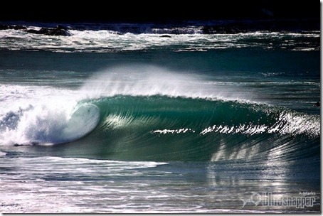 Northern Beachs. Foto: Alex Marks