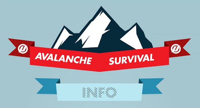 Image: Avalanche Survival