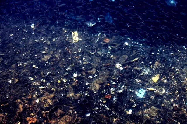 Scientists discover pollution 10,000 meters below the ocean’s surface in the Mariana Trench | Alcaidesa Marina